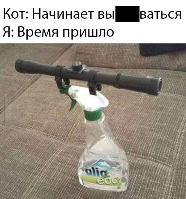 Подборка картинок. Субботний выпуск (30 фото)