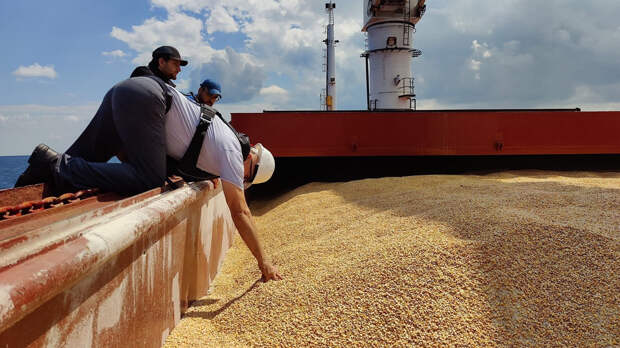 German farmers: Ukraine&#039;s entry into EU would destroy family farms across Europe