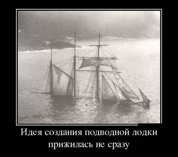 Веселые и позитивные демотиваторы для настроения (11 фото)