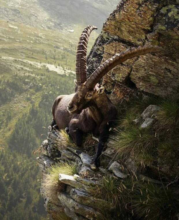 смешные, интересные и красивые фото смешные, интересные и красивые фото