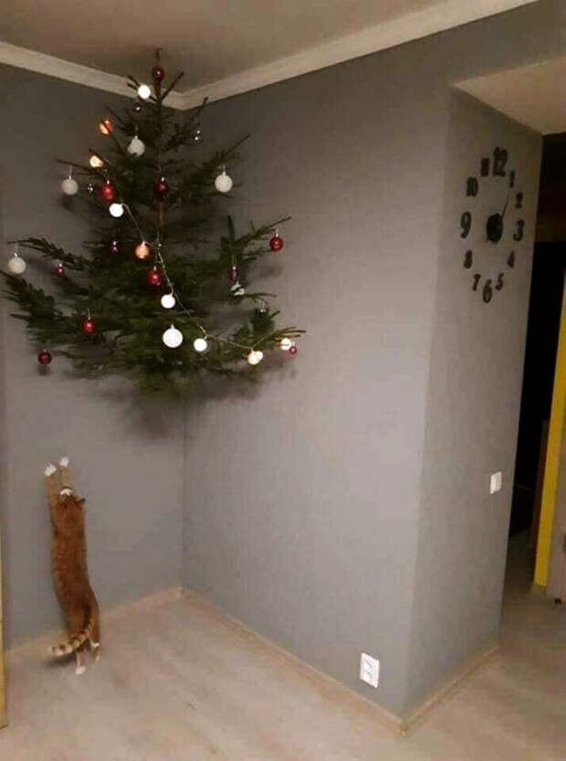 Вызов принят! Вызов принят!