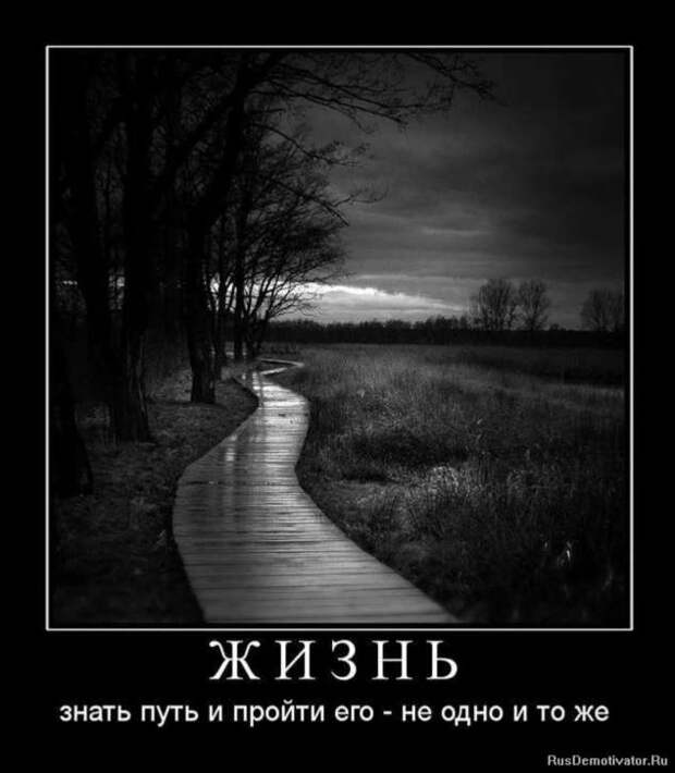 Прикольные демотиваторы с надписями. Подборка chert-poberi-dem-chert-poberi-dem-22130625062020-17 картинка chert-poberi-dem-22130625062020-17
