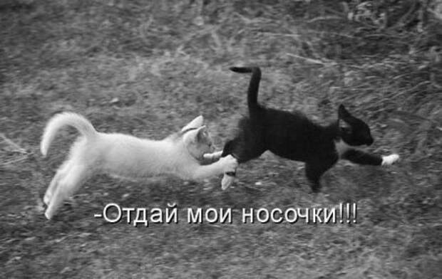 Оттянись, посмотри приколы.