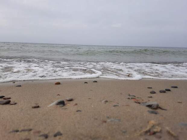 В Балтийском море спасли 10‑метрового кита, застрявшего на песчаной отмели