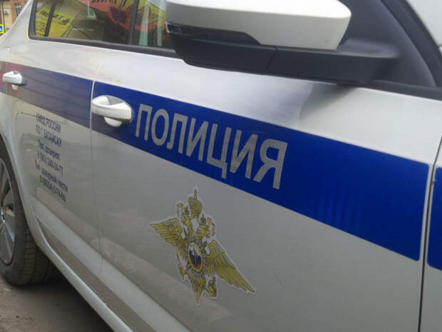 В Ростове неизвестный украл у вдовы погибшего ополченца Моторолы гуманитарный груз