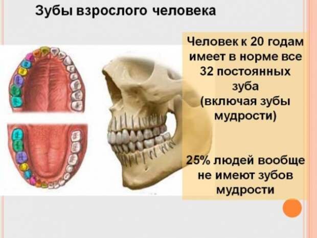 Опасность углеводной диеты Опасность углеводной диеты