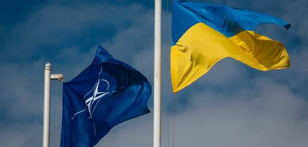 Украина, НАTO, флаги