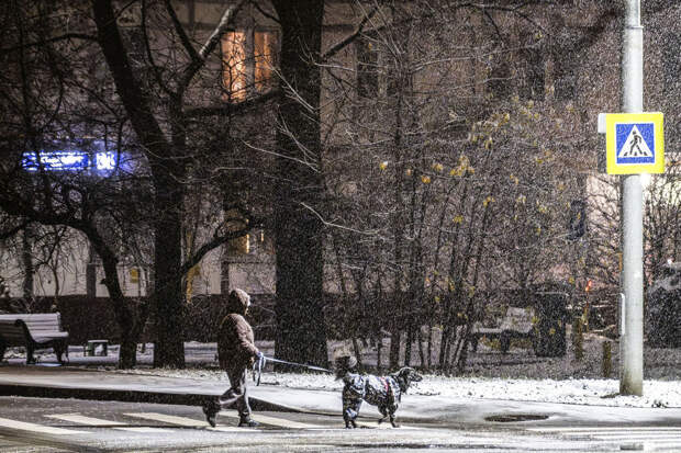 Вильфанд: в Москве в выходные и на следующей неделе будет нестабильная погода