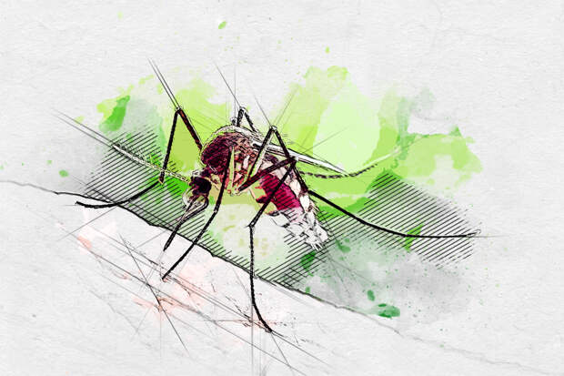 Летучая угроза: орловцев предупредили о червях, которые могут появиться под кожей после укуса комара