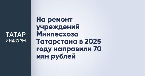 На ремонт учреждений Минлесхоза Татарстана в 2025 году направили 70 млн рублей