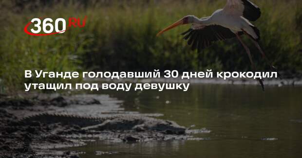 В Уганде голодавший 30 дней крокодил утащил под воду девушку