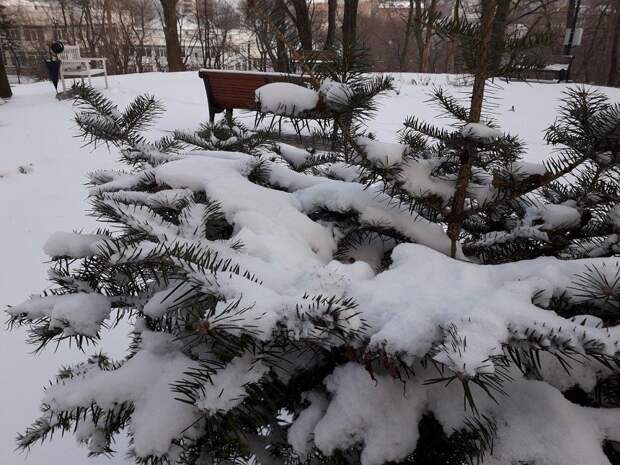 Циклон на юге принёс во Владивосток сырость, северный ветер — холод