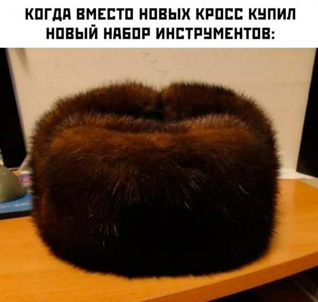 смешные картинки и мемы
