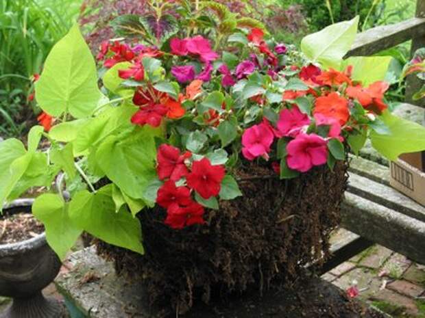 Подвесное кашпо для цветов – Украшаем сад своими руками