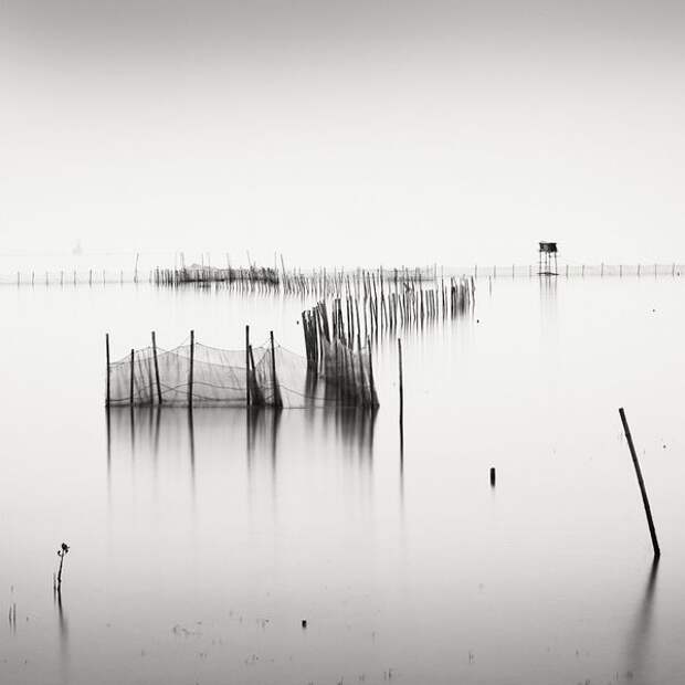 Лучшие фотографии International Photography Awards (IPA) 2007