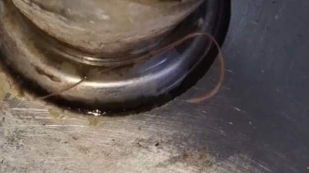 В барнаульской гимназии нашли червя в питьевом фонтанчике