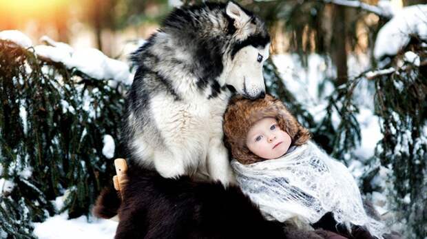 small-babies-children-big-dogs-15__880