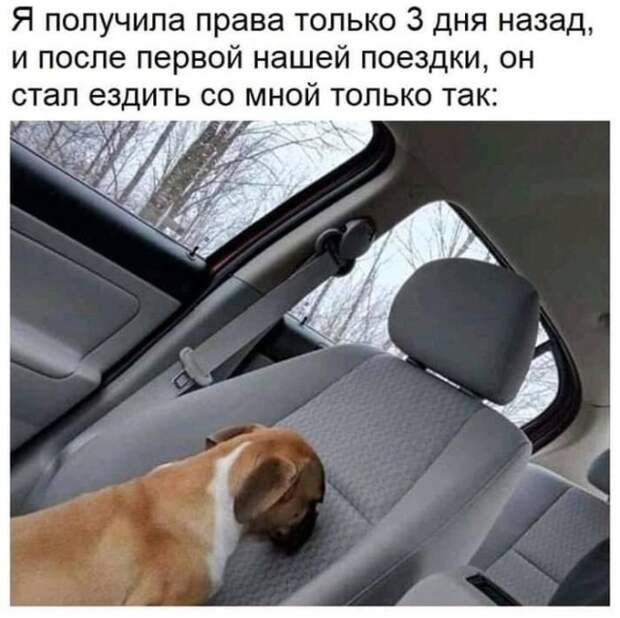 Подборка картинок (20 фото)