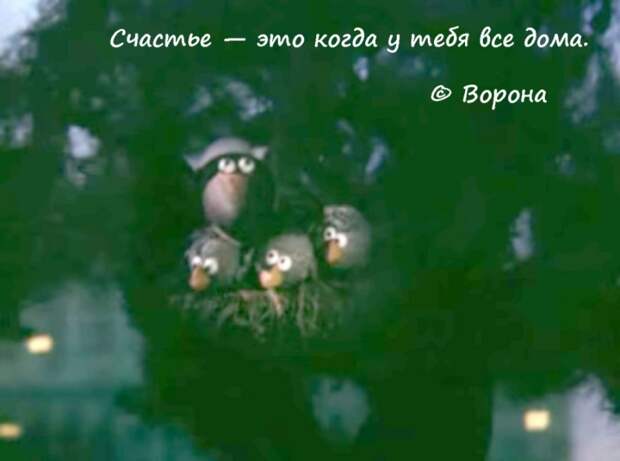 50 цитат из любимых советских мультиков 50 цитат из любимых советских мультиков мультик, цитаты