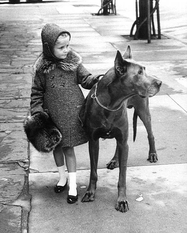 Прогулка. Nina Leen - коллекция изображений LIFE. 1957 год. Весь Мир в объективе, ретро, фотографии
