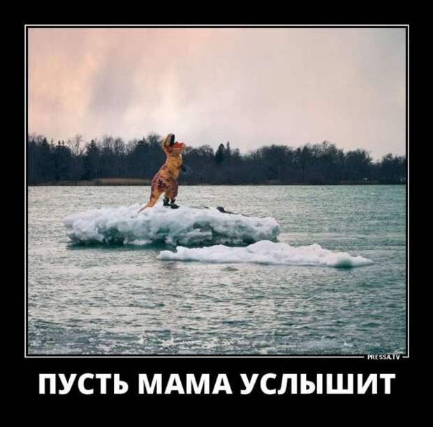 Демотиваторы. Подборка chert-poberi-chert-poberi-28280805052020-4 картинка chert-poberi-28280805052020-4