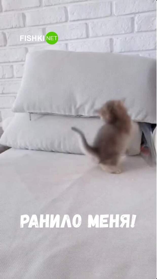 Санитар, здесь раненный!