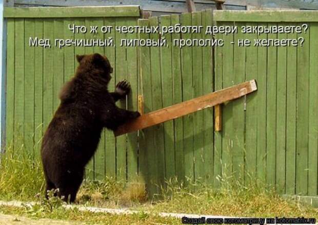 Новые крутые котоматрицы первой недели октября (50 фото) Новые крутые котоматрицы первой недели октября (50 фото)
