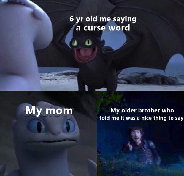 Toothless dancing in front of Light Fury meme