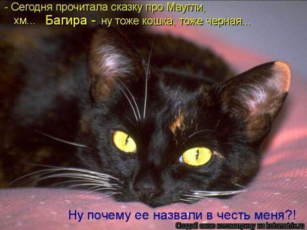 Мысли вслух :)