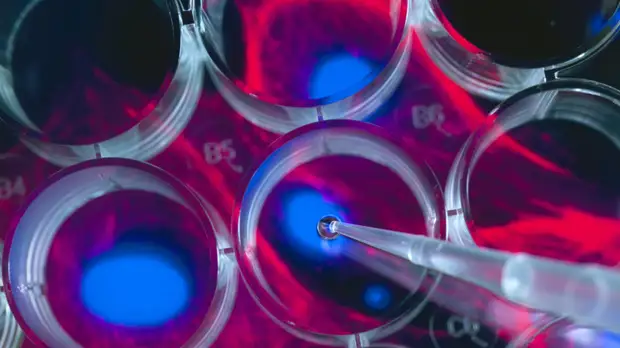 Минздрав разрешил исследования первого в России клеточного продукта