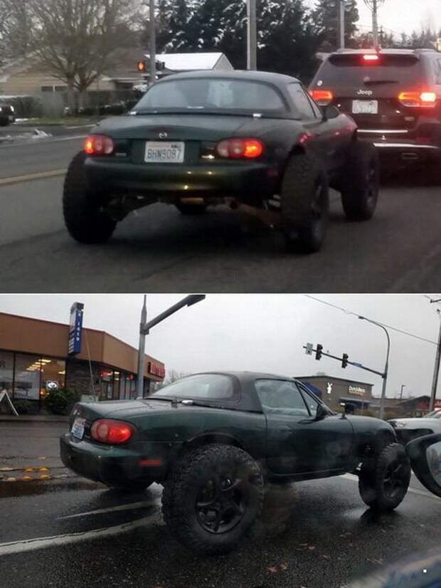Автовсячина