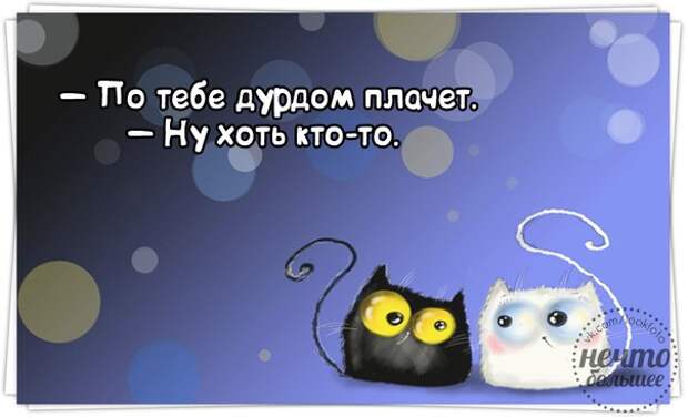 По тебе дурдом плачет