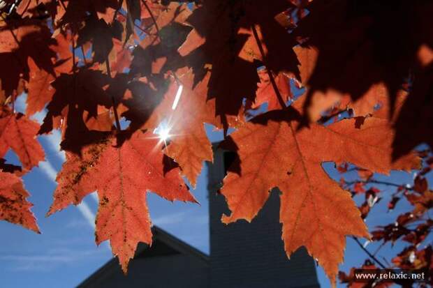 october_036 october_036