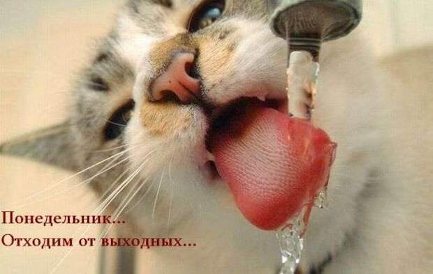 1338794189_1240845138_s3img_4987759_15546_1 (640x406, 103Kb)