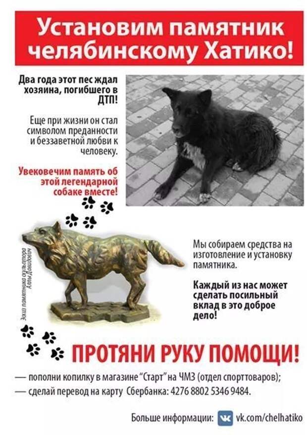 В Челябинске появился памятник псу, два года ожидавшему погибшего хозяина ynews, памятник, собака, хатико, челябинск