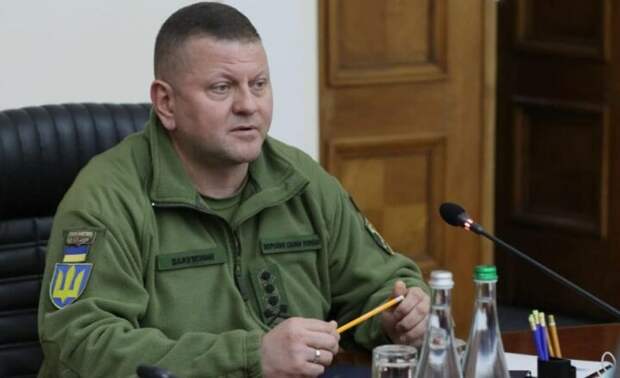 Валерий Залужный