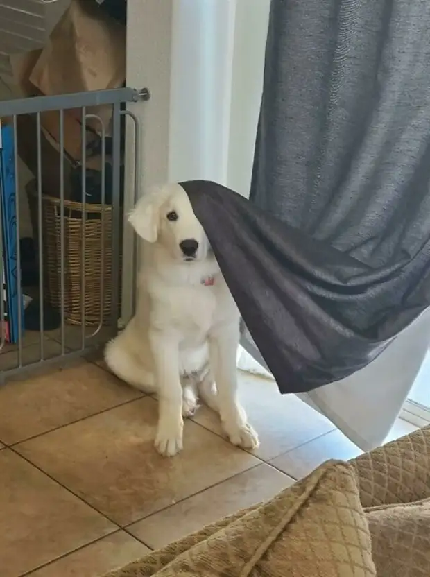 ?