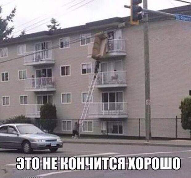Смешные и познавательные картинки