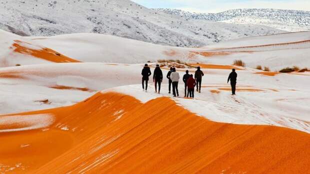 27 интересных фактов о Сахаре – самой большой пустыне на нашей планете