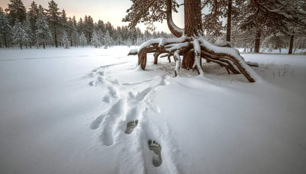 О новой детали в деле Усольцевых сообщила помощница Ирины