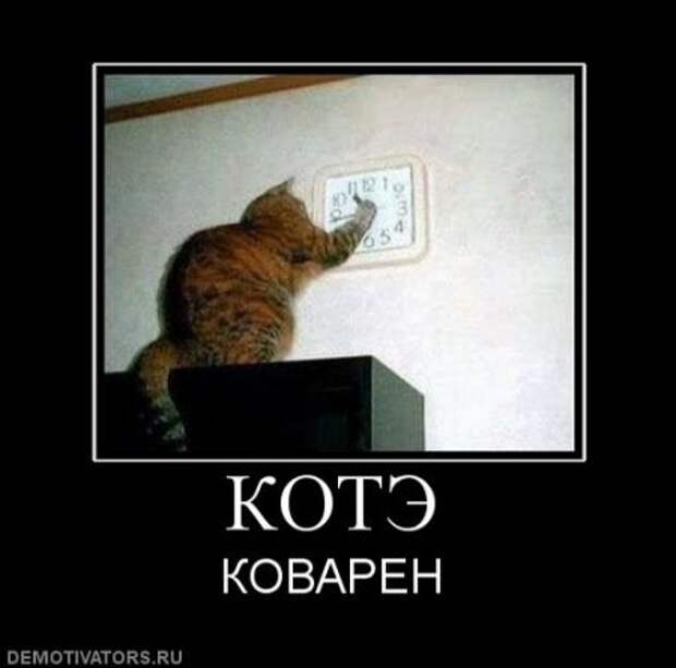 Очередная порция демотиваторов новых и смешных!