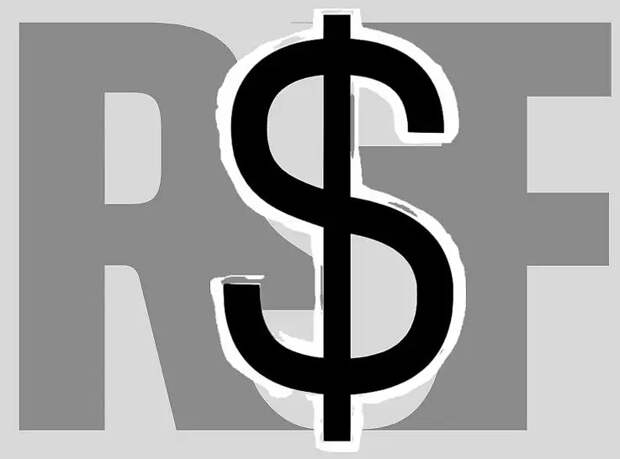 НПО «Репортеры без границ»: кто они на самом деле?