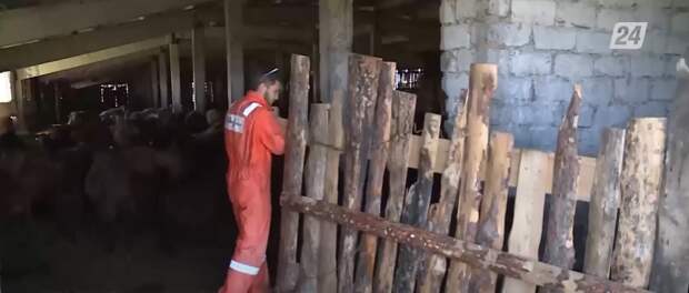 Умирающее село в Костанайской области намерен восстановить житель Актау