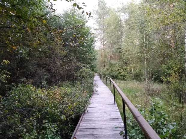 В парке "Яуза" проложат самые длинные в Европе экологические маршруты в стиле "бабочки Брэдбери"