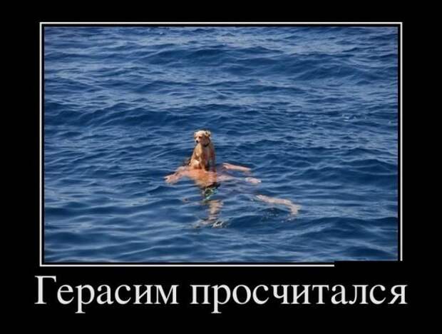 Демотиваторы. Классные приколы!