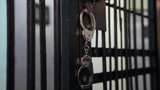 Студентка-киллер отказалась признать вину за попытку убить пенсионерку молотком