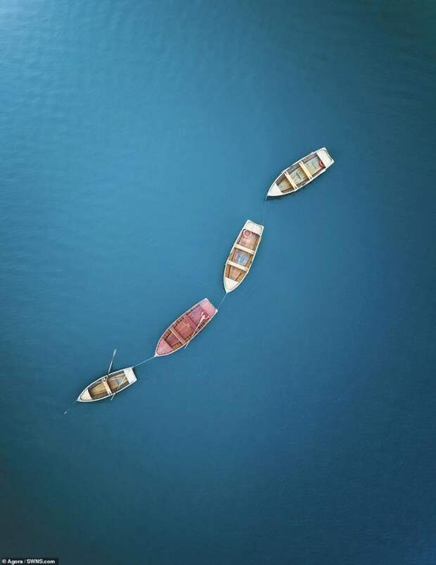 Водный мир: лучшие фотографии