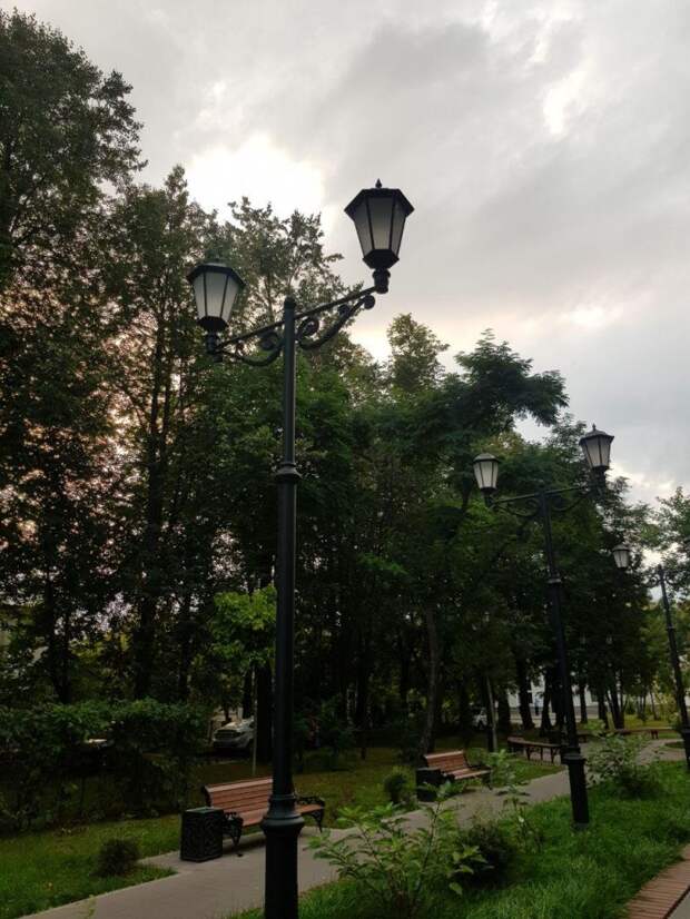 Фотокадр: самое время для прогулки по скверу в Северном