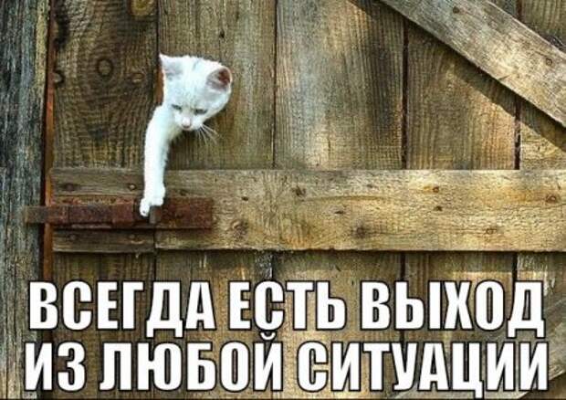 Веселые картинки и приколы для вас!