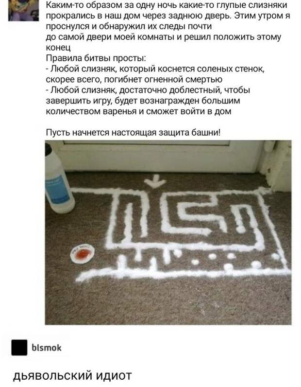 Лабиринт слизня